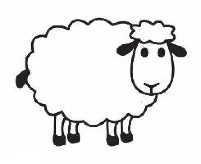 绵羊的简笔画图片大全 绵羊的简笔画图片大全大图可爱