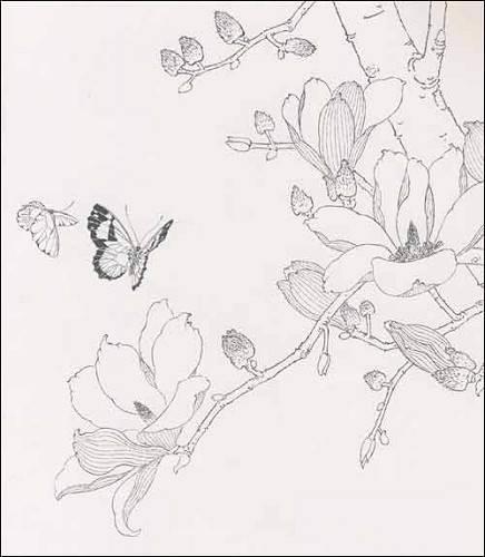 玉兰花简笔画图片大全 玉兰花简笔画图片大全彩色