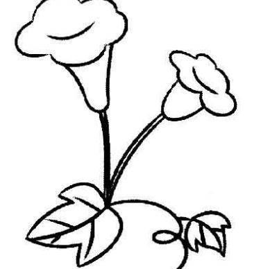 喇叭花简笔画 喇叭花简笔画图片大全