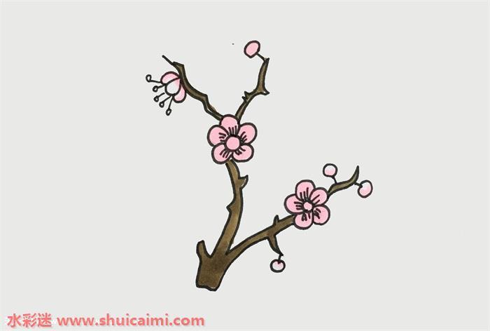 梅花怎么画 梅花简笔画简单又漂亮彩色