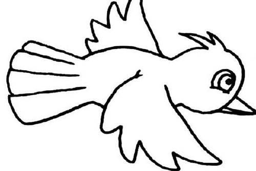 卡通小鸟简笔画图片大全 卡通小鸟简笔画图片大全彩色