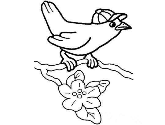 简笔画小鸟 简笔画小鸟图片