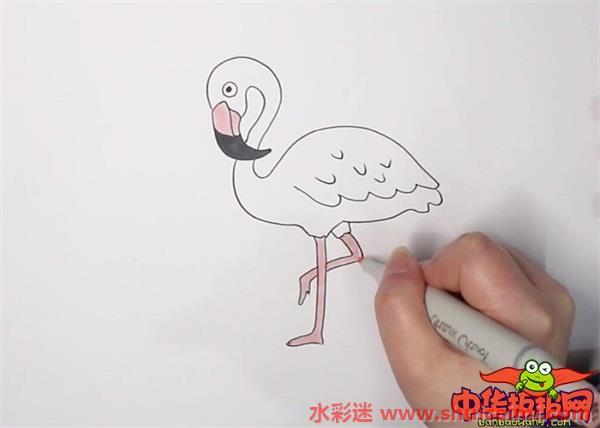 火烈鸟怎么画 火烈鸟简笔画简单彩色