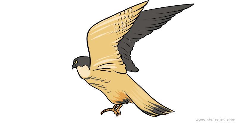 燕隼儿童画怎么画 燕隼简笔画顺序