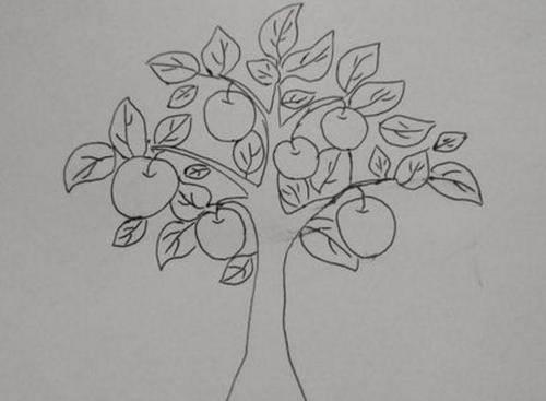 果树简笔画 果树简笔画彩色