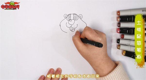土拨鼠怎么画 土拨鼠简笔画简单易画彩色
