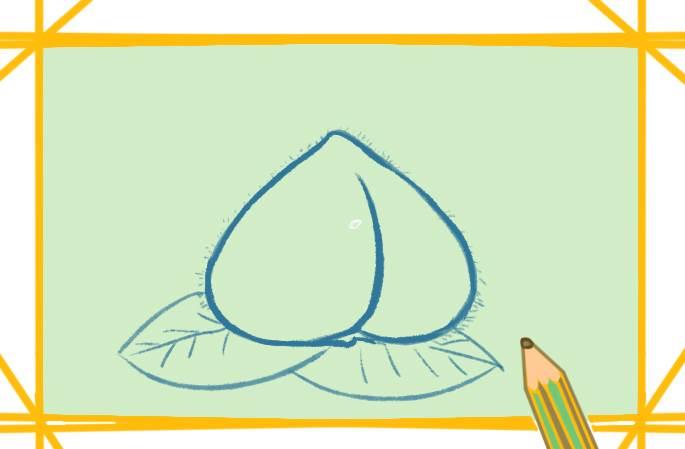 水蜜桃简笔画 水蜜桃简笔画图片