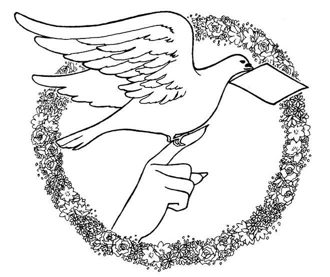 和平鸽简笔画 和平鸽简笔画儿童简笔画