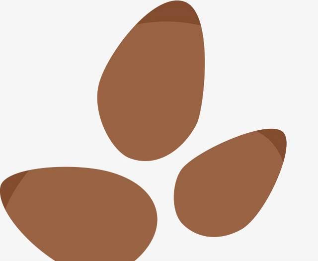 种子简笔画 种子简笔画豆子