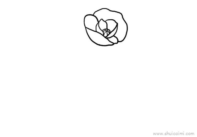 罂栗花儿童画怎么画 罂栗花简笔画好看