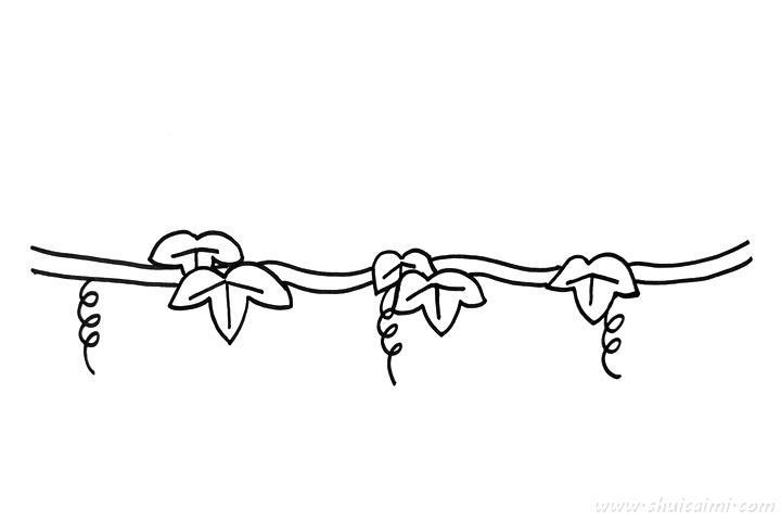 葡萄藤怎么画 葡萄藤简笔画画法