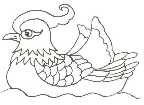 鸳鸯的简笔画怎么画 鸳鸯的简笔画简单又好看