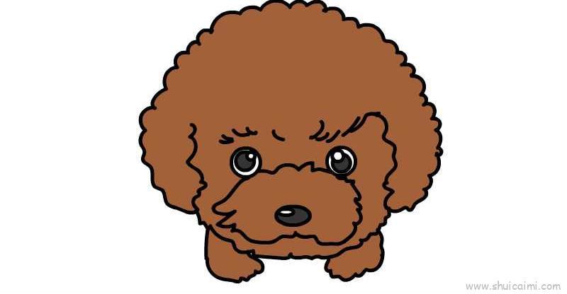 卷毛狗儿童画怎么画 卷毛狗简笔画简单