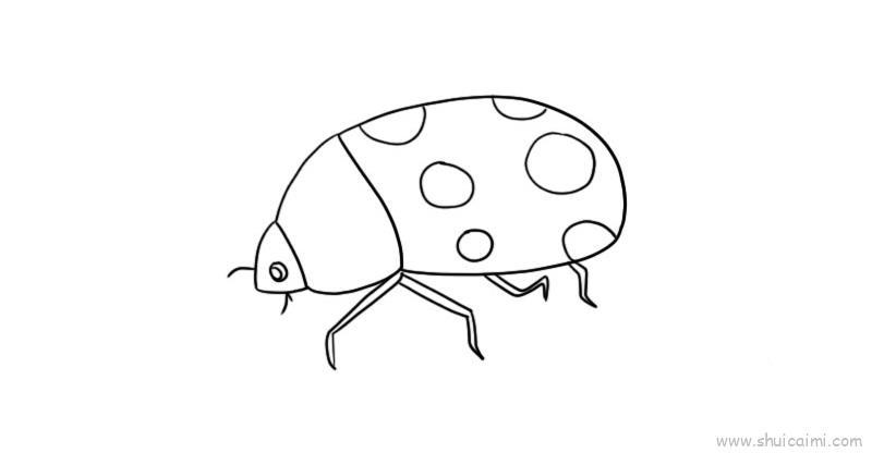 甲虫儿童画怎么画 甲虫简笔画图片大全