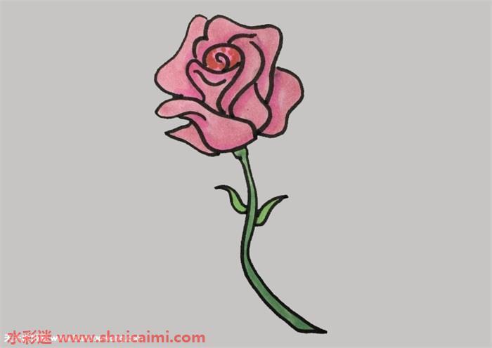 蔷薇花怎么画 蔷薇花简笔画画法