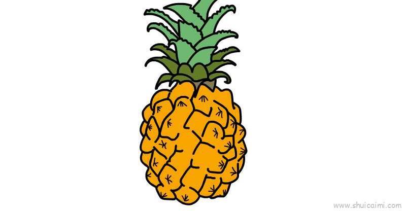 菠萝儿童画怎么画 菠萝简笔画简单