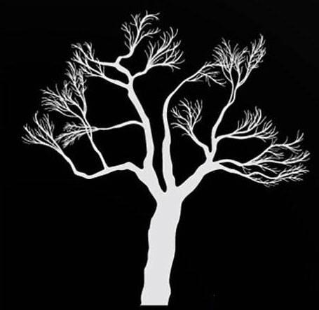 冬天的树简笔画 冬天的树简笔画幼儿园小班