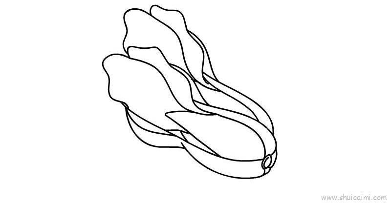 青菜儿童画怎么画 青菜简笔画步骤