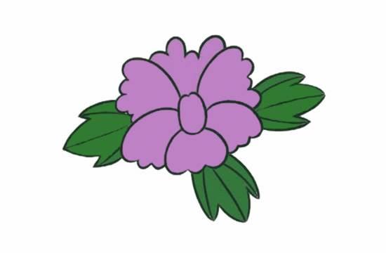 牡丹花简笔画 牡丹花简笔画简单又好看