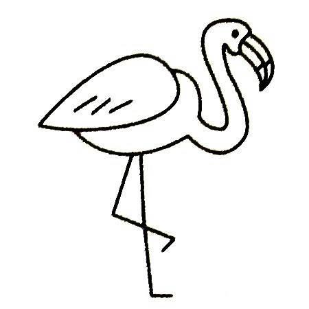 火烈鸟简笔画 火烈鸟简笔画图片