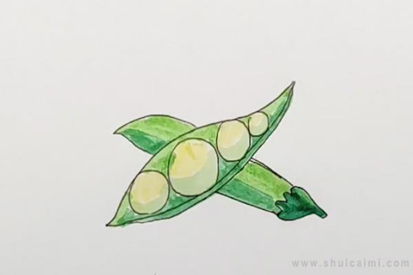豆角简笔画怎么画 豆角简笔画顺序