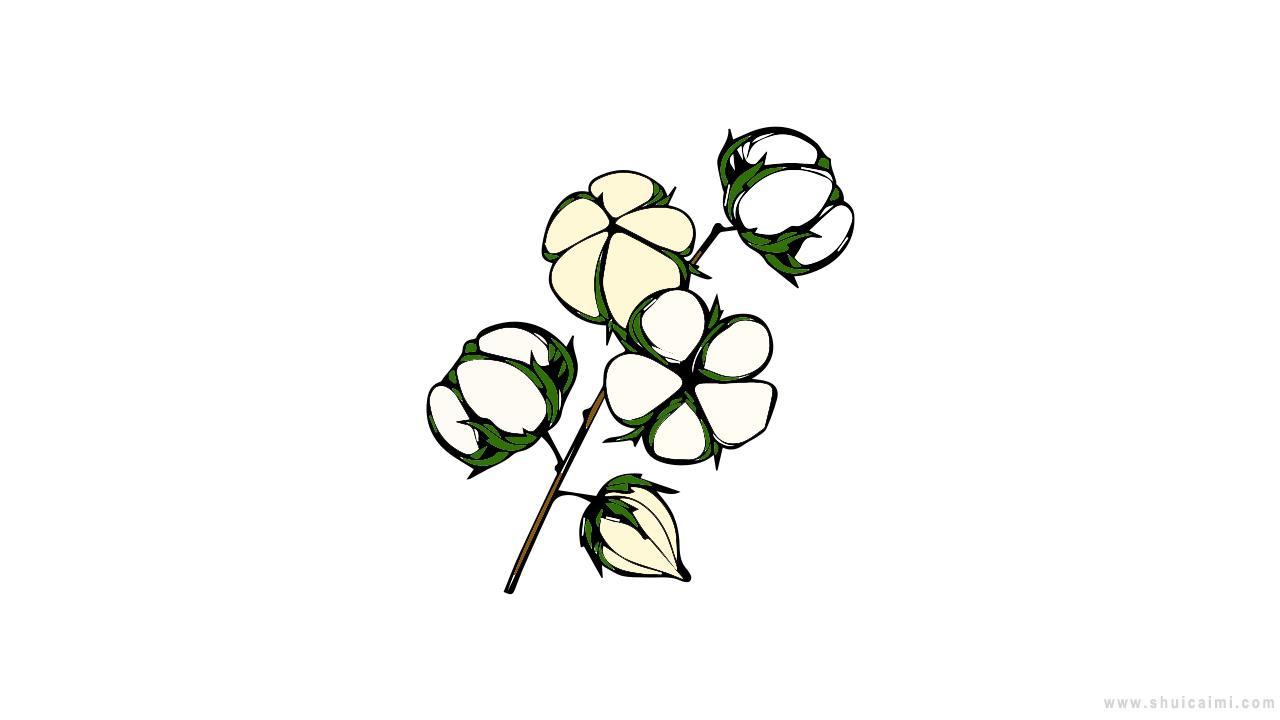 棉花简笔画的画法告诉你,棉花简笔画怎么画?
