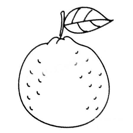 橘子简笔画 橘子简笔画图片