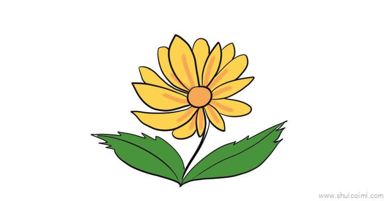 菊花,菊花儿童画怎么画 菊花,菊花简笔画步骤