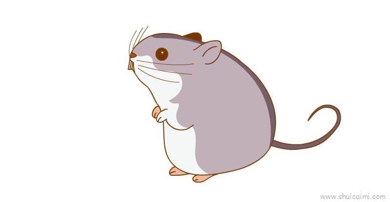 竹鼠儿童画怎么画 竹鼠简笔画图片大全