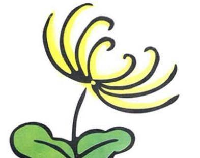 菊花的简笔画 菊花的简笔画图片