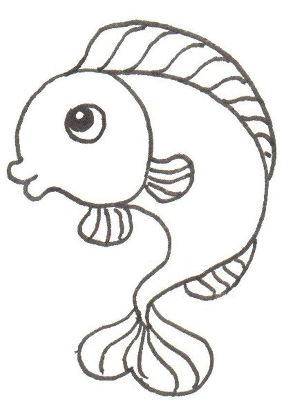 小鲤鱼的简笔画怎么画 小鲤鱼的简笔画好看