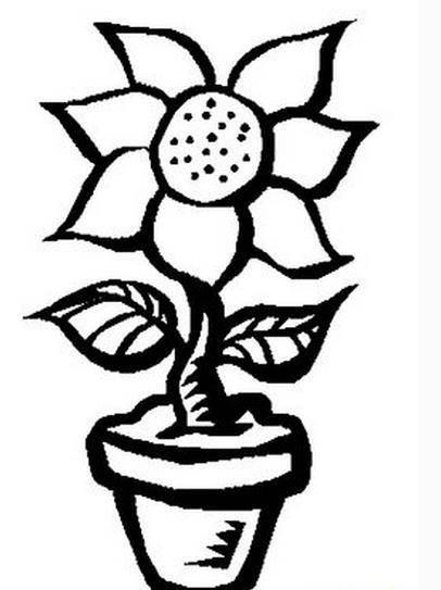 画花简笔画 如何画花简笔画