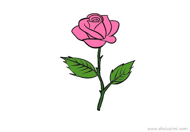 月季花儿童画怎么画 月季花简笔画简单又好看