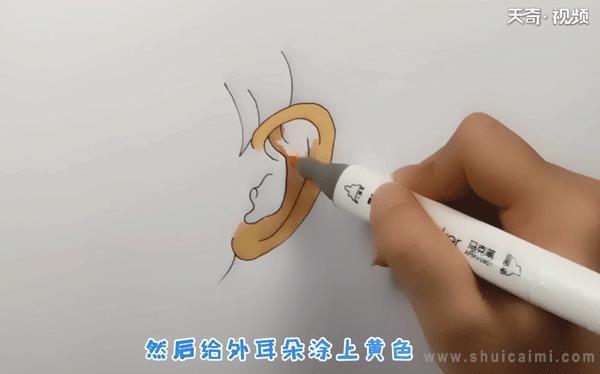 耳朵简笔画怎么画 耳朵简笔画简单又好看