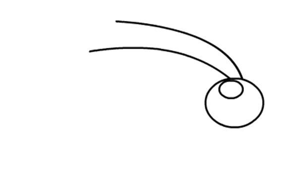 昆虫类简笔画儿童图片大全 儿童简笔画昆虫