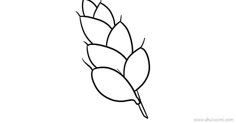 小麦儿童画怎么画 小麦简笔画步骤