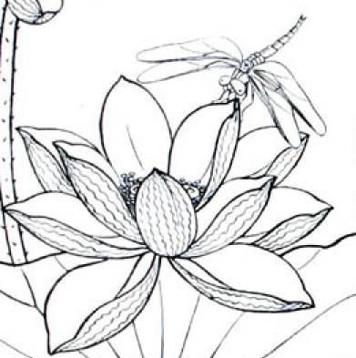 荷花简笔画图片 荷花简笔画图片大全简单漂亮