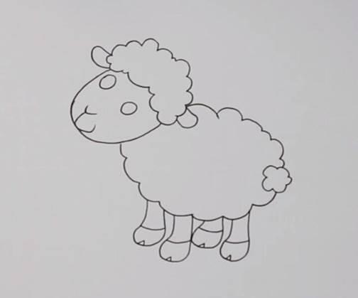 绵羊的简笔画图片大全 绵羊的简笔画图片大全大图可爱