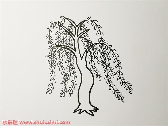 柳树怎么画 简笔画柳树步骤教程图