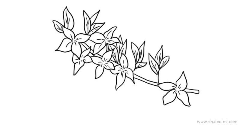 迎春画花儿童画怎么画 迎春画花简笔画画法教程