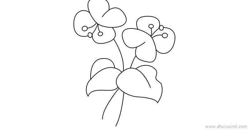 蝴蝶兰儿童画怎么画 蝴蝶兰简笔画好看