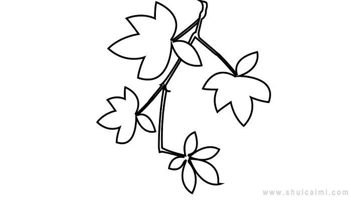 爬山虎简笔画怎么画 爬山虎简笔画画法