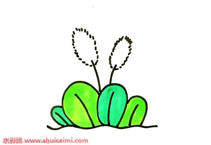 狗尾巴草怎么画 狗尾巴草简笔画简单彩色