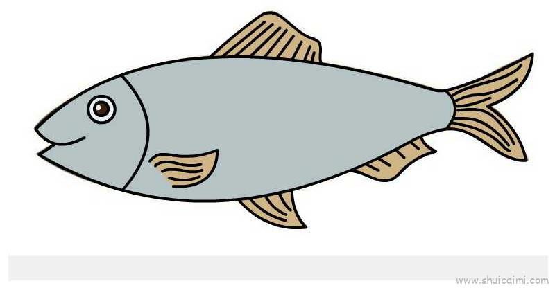 鲱鱼儿童画怎么画 鲱鱼简笔画好看