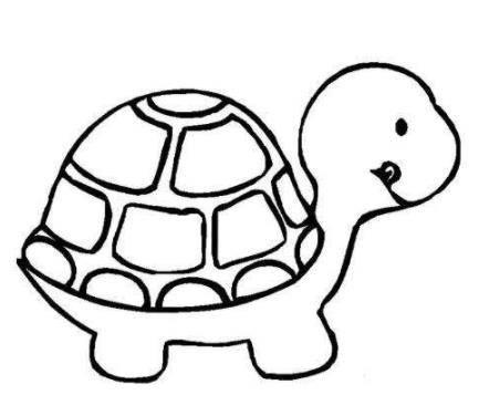 爬行动物简笔画 爬行动物简笔画彩色