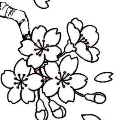 桃花树简笔画图片大全 桃花树简笔画图片大全漂亮