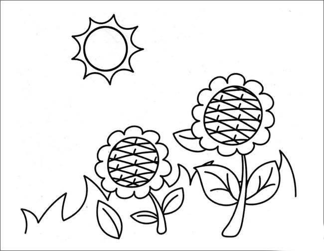 植物图片简笔画 本草纲目植物图片简笔画