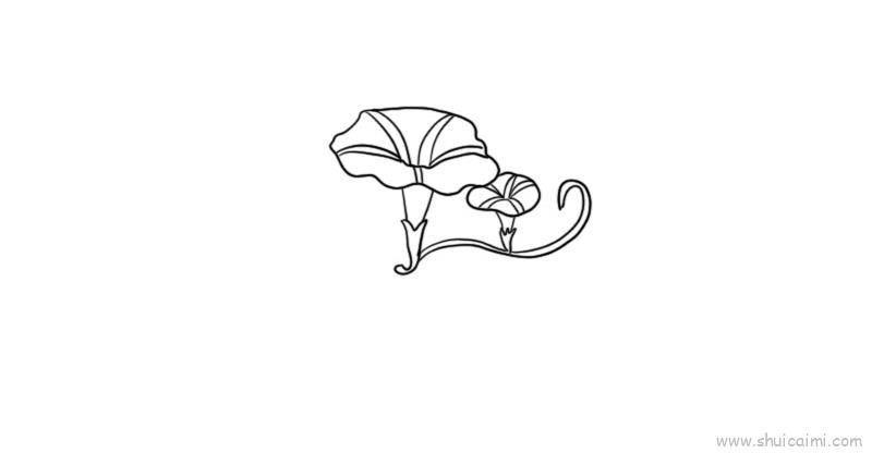 牵牛花儿童画怎么画 牵牛花简笔画好看