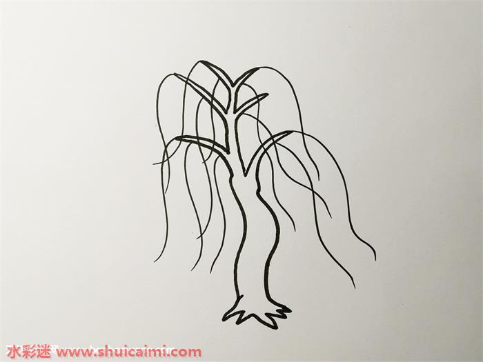 柳树怎么画 简笔画柳树步骤教程图