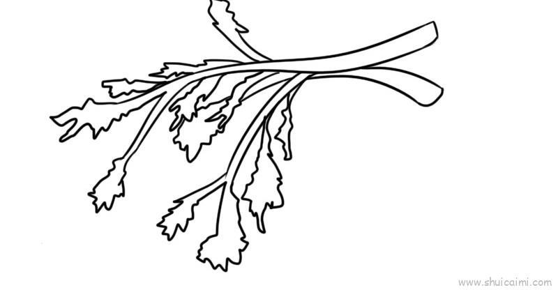 茼蒿菜儿童画怎么画 茼蒿菜简笔画图片大全